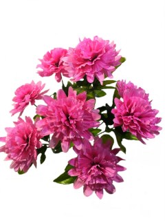 Гортензия ГРТ09
